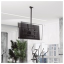 Soporte techo giratorio con doble pantalla para TV 43" - 86"